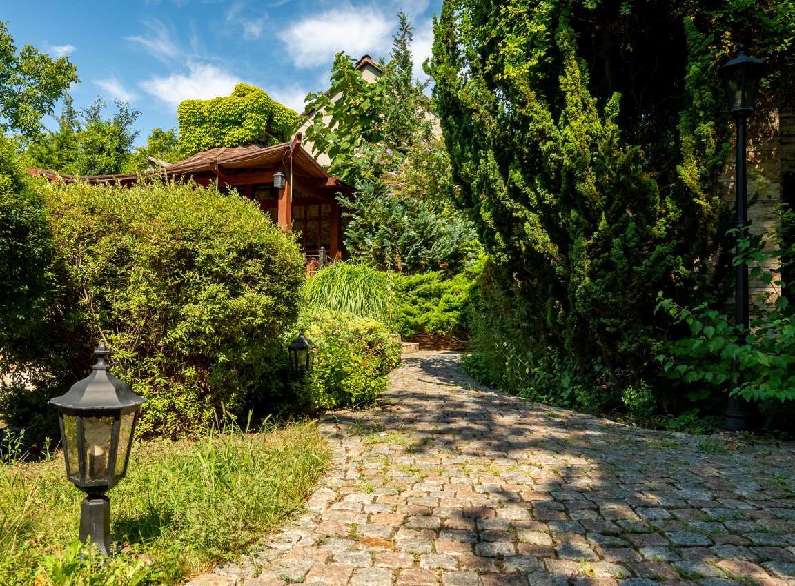 Цены на услуги центра Джерело Лайф